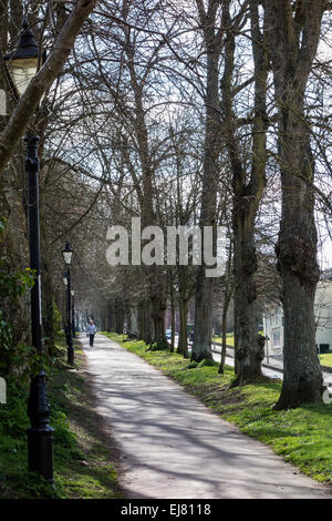 Stadt Spaziergänge, die Waldung, Dorchester, Dorset, England, Großbritannien Stockfoto