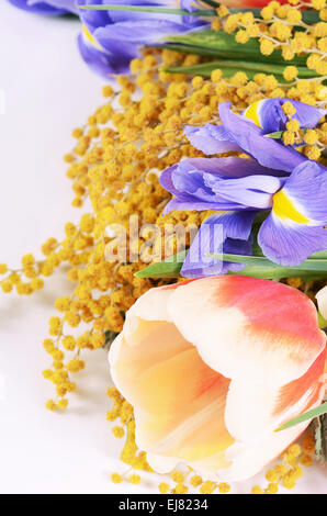 Frühlingsblumen, die isoliert auf weißem Hintergrund Stockfoto