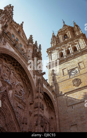 Hauptfassade, die neue Kathedrale, Salamanca, Castilla y Leon, Spanien Europa Stockfoto