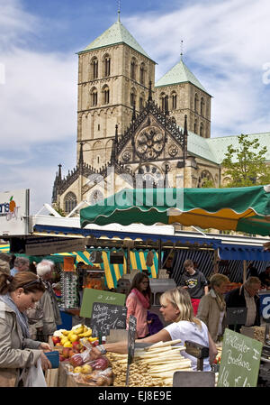 Wochenmarkt, Dom, Münster, Deutschland Stockfoto