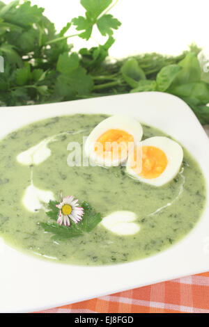 Grüne Kräuter-Suppe mit Eiern und einem Klecks Sahne Stockfoto