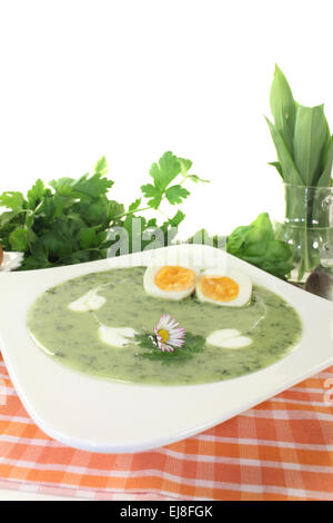 Kräuter-Suppe mit Eiern und einem Klecks Sahne Stockfoto