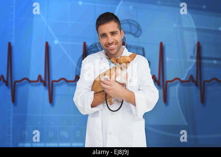 Zusammengesetztes Bild von Tierarzt Holding chihuahua Stockfoto