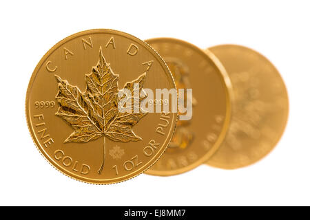 Canadian Gold Maple Leaf 1 Unze Münzen Stockfoto