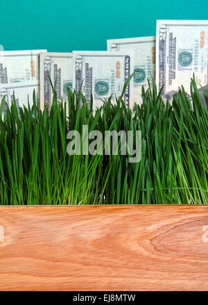 US-Dollar in den Rasen Stockfoto