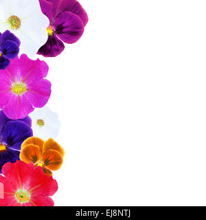 Blumen Stockfoto