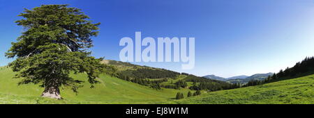 Tannheimer Tal Stockfoto