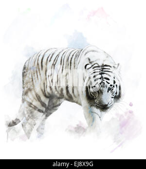 Aquarell weißer Tiger-Portrait Stockfoto
