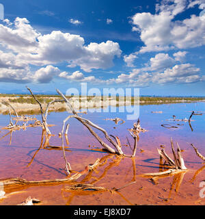 Mallorca Es Trenc Ses Salines Saline in Balearen Mallorca Stockfoto