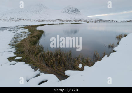 Herbstlandschaft im Schnee, NP in Rondane, Norwegen Stockfoto