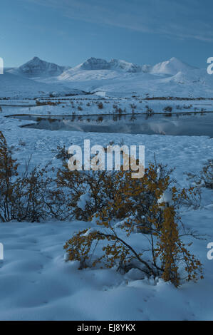 Herbstlandschaft im Schnee, NP in Rondane, Norwegen Stockfoto