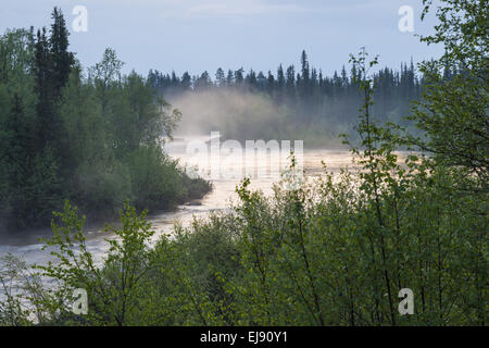 neblige Stimmung am Fluss Sjaunjaaedno, Lappland, Schweden Stockfoto