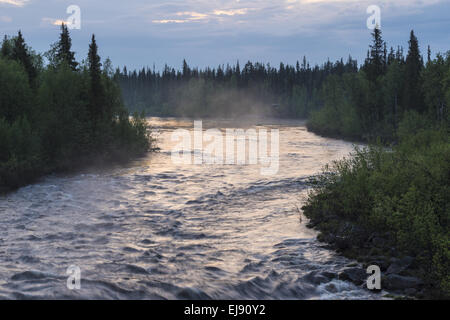 neblige Stimmung am Fluss Sjaunjaaedno, Lappland, Schweden Stockfoto