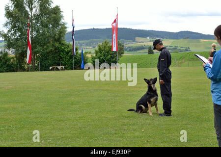 Hundetrainer testet mit Hirte Stockfoto