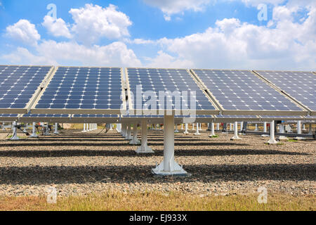 Solar-Panels vor blauem Himmel Stockfoto