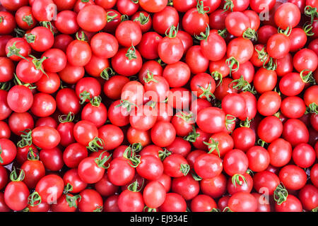 Cherry-Tomaten-Hintergrund Stockfoto
