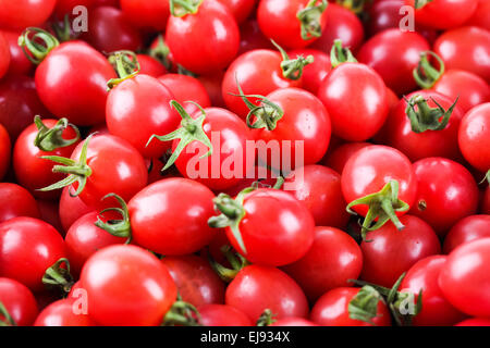 frische Kirschtomaten closeup Stockfoto