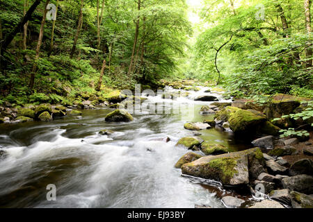 der Fluss Bode im Nationalpark Harz Stockfoto