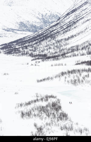 Skifahrer, Vistasdalen, Lappland, Schweden Stockfoto