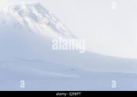 Skifahrer auf Tour, Stuor Reaiddavaggi, Lappland Stockfoto