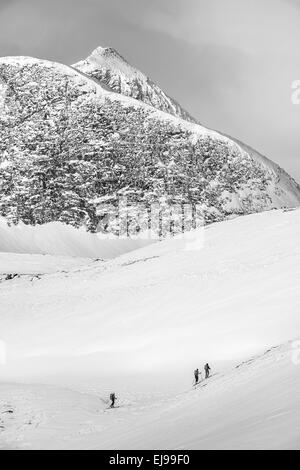 Skifahrer auf Tour, Stuor Reaiddavaggi, Lappland Stockfoto