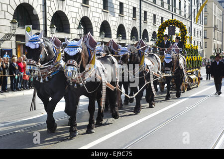 Beförderung der Brauerei auf dem Oktoberfest in München Stockfoto