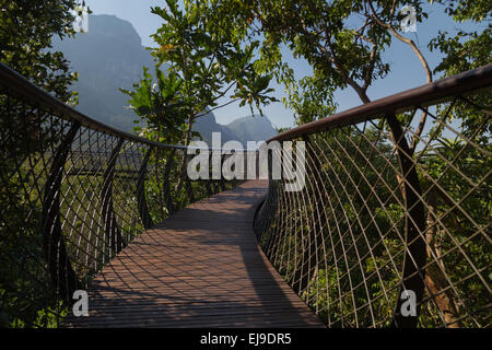 Die schöne neue Boomslang Brücke in Kirstenbosch Botanical Gardens in Kapstadt, Südafrika. Stockfoto