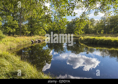 Landschaft entlang Fluss Eman, Smaland, Schweden Stockfoto