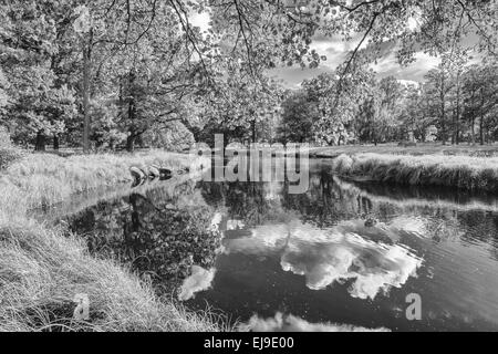 Landschaft entlang Fluss Eman, Smaland, Schweden Stockfoto