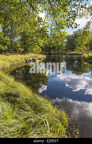 Landschaft entlang Fluss Eman, Smaland, Schweden Stockfoto