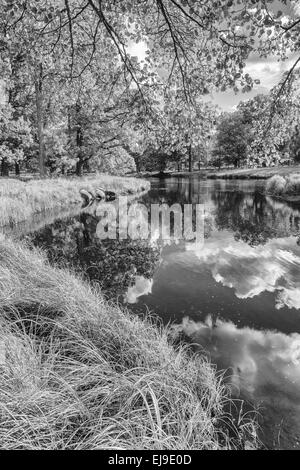 Landschaft entlang Fluss Eman, Smaland, Schweden Stockfoto