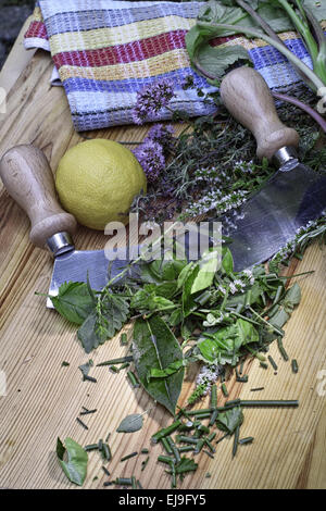 frische Kräuter Stockfoto