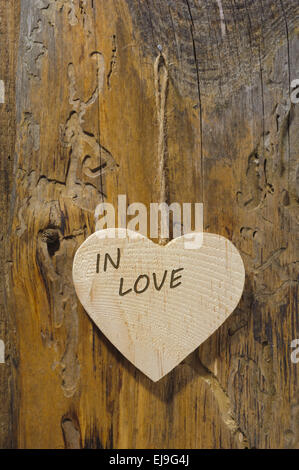 Herz aus Holz auf Baumrinde Stockfoto