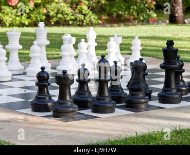 Zahlen zum Spiel in Schach auf die Natur Stockfoto