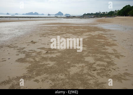 Mustern gebildet durch Kugeln erstellt von Sand Bubbler Krabben, Scopimera spp., bei Ebbe am Strand in der Nähe von Krabi an der Andamanensee, Th Stockfoto