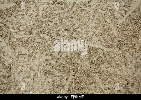 Muster von Kugeln und Flucht Löcher gebildet erstellt von Sand Bubbler Krabben, Scopimera spp., bei Ebbe am Strand in der Nähe von Krabi auf th Stockfoto