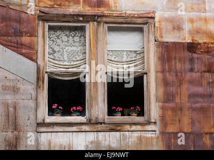 Windows in Ghost Town von St. Elmo Stockfoto