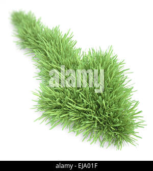 Ein Pfeilsymbol aus einem Patch Gras gemacht Stockfoto