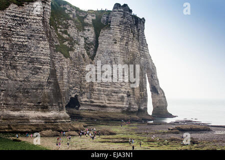 Falaise d'aval Sea Cliff, Etretat, Côte d ' d'Albatre, Haute-Normandie, Normandie, Frankreich, Europa Stockfoto