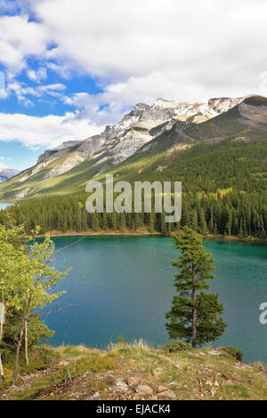 Der Herbst in den Rocky Mountains Stockfoto