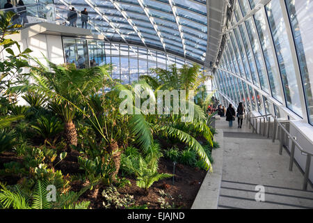 Sky Garden an der Spitze der 20 Fenchurch Street (Walkie Talkie) in London, England Stockfoto