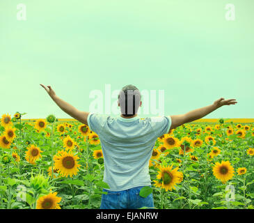Mann im Feld von Sonnenblumen Stockfoto