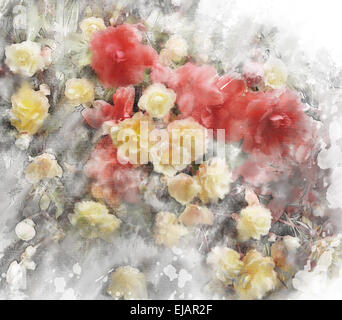 Aquarell Bild von Begonia Blumen Stockfoto