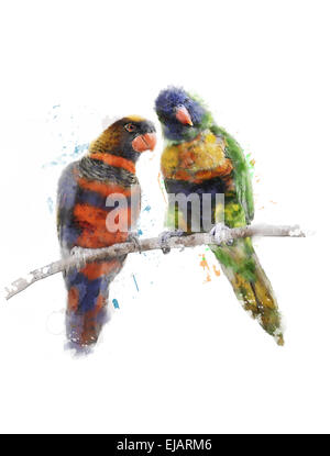 Aquarell Bild der bunten Papageien Stockfoto