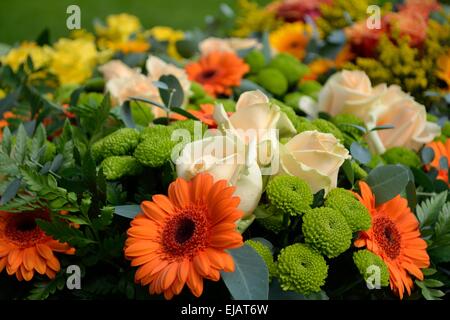 Mischung aus hellen Schnittblumen Stockfoto