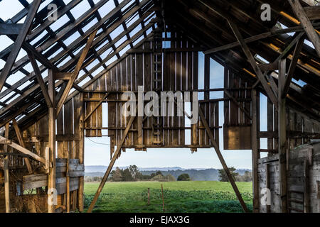 Alte verlassene Scheune, Farbbild Stockfoto