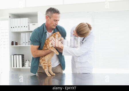 Inhaber hält seine Katze als Tierarzt untersucht Stockfoto