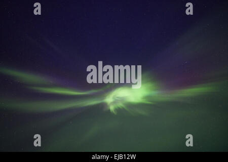 Nordlicht, koronalen Aurora, Lappland, Schweden Stockfoto