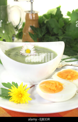 Grüne Kräuter-Suppe mit einem Klecks Creme Stockfoto