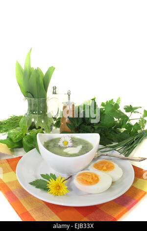 Grüne Kräuter-Suppe mit Eiern und einem Klecks Sahne Stockfoto